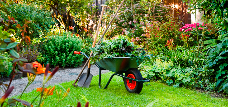 Mantenimiento de jardines